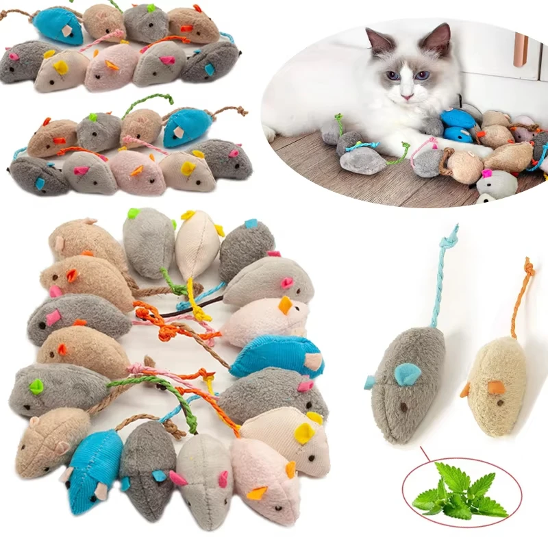 ของเล่นจานบินซิลิโคนอเนกประสงค - Flying Disc Dog Training Toy บทวิจารณ์และราคา