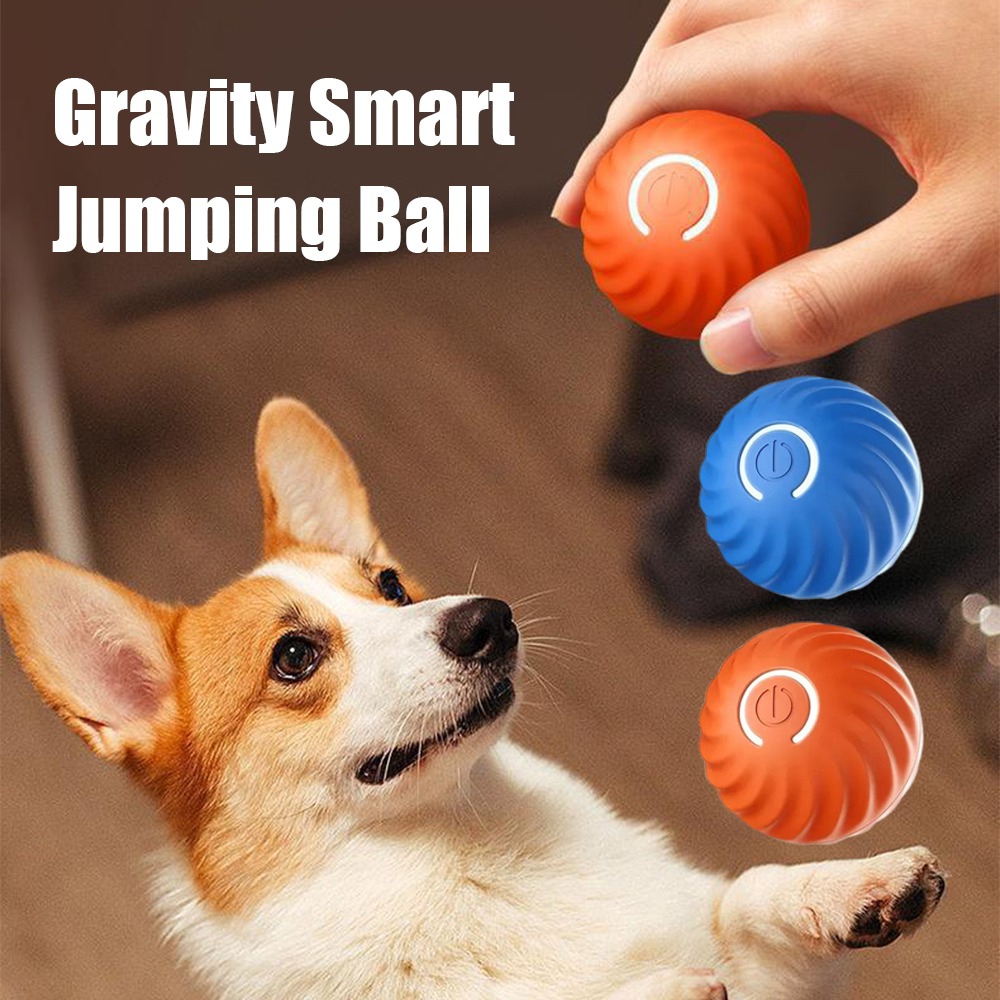 ใหม่ 1 PC ย้ายอัตโนมัติของเล่น - Automatic Moving Dog Ball บทวิจารณ์และราคา