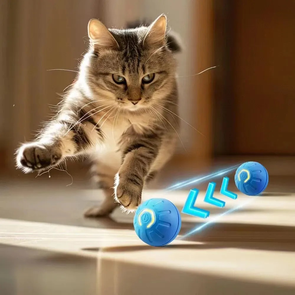ใหม่ 1 PC ย้ายอัตโนมัติของเล่น - Automatic Moving Dog Ball บทวิจารณ์และราคา