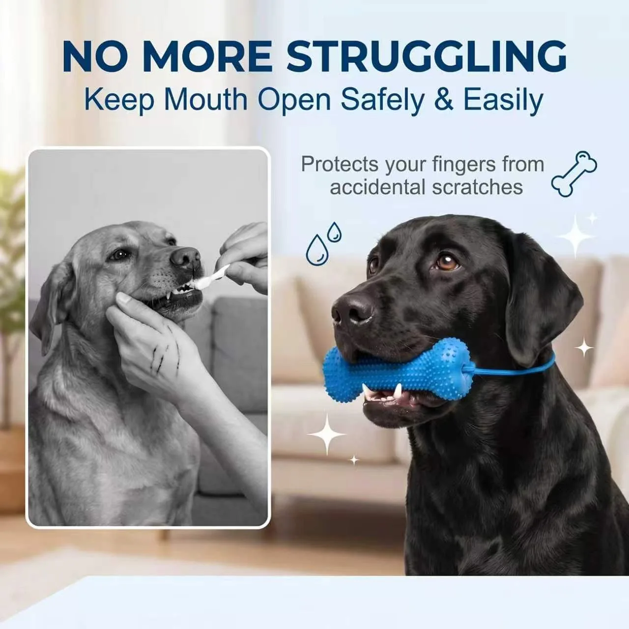 ของเล่นสำหรับสุนัขแบบใช้ซ้ำได้ - Teeth Cleaning Dog Chew Bone บทวิจารณ์และราคา