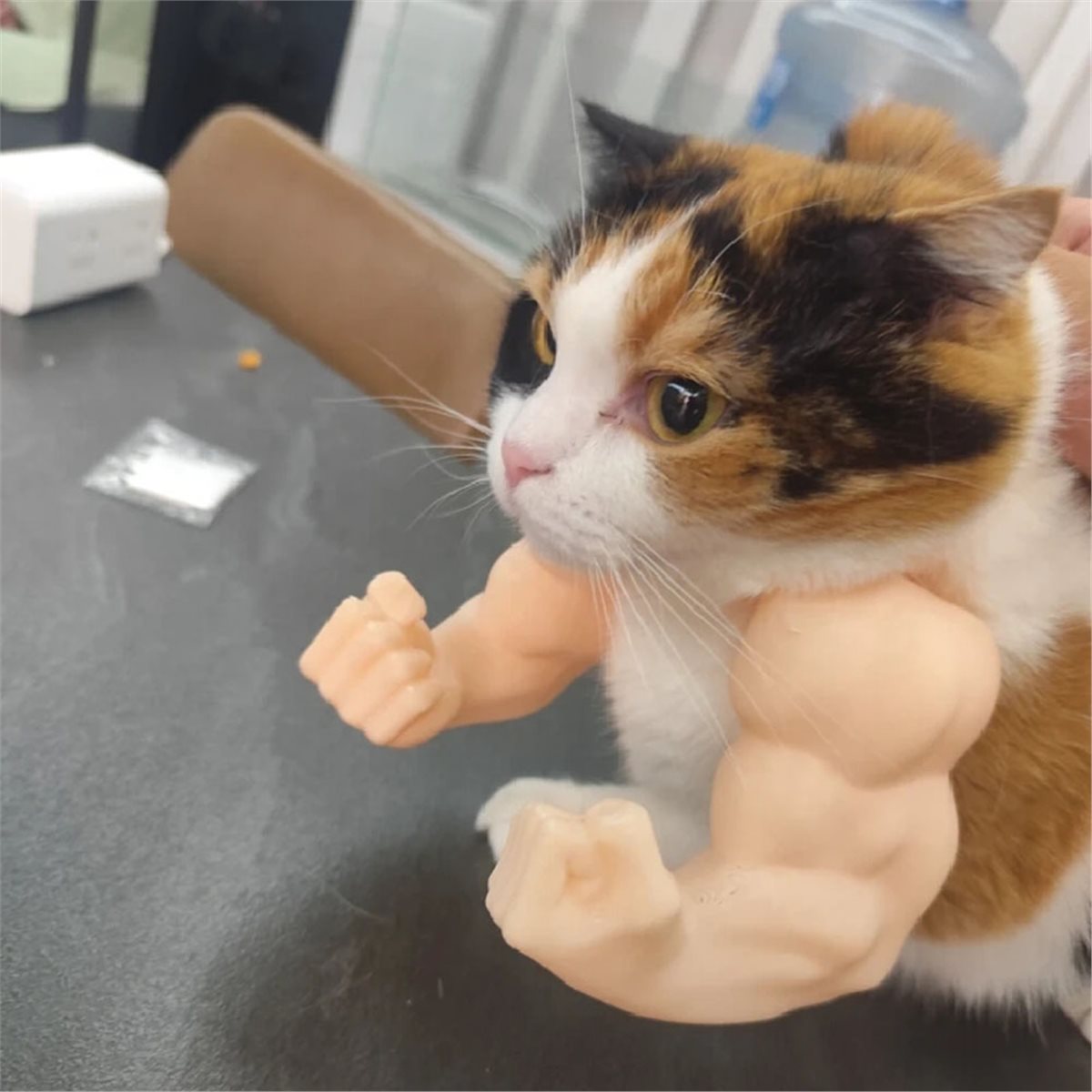 จี้แขนกล้ามเนื้อแมวใหม่ ชุดคู่ - Cat Toys บทวิจารณ์และราคา